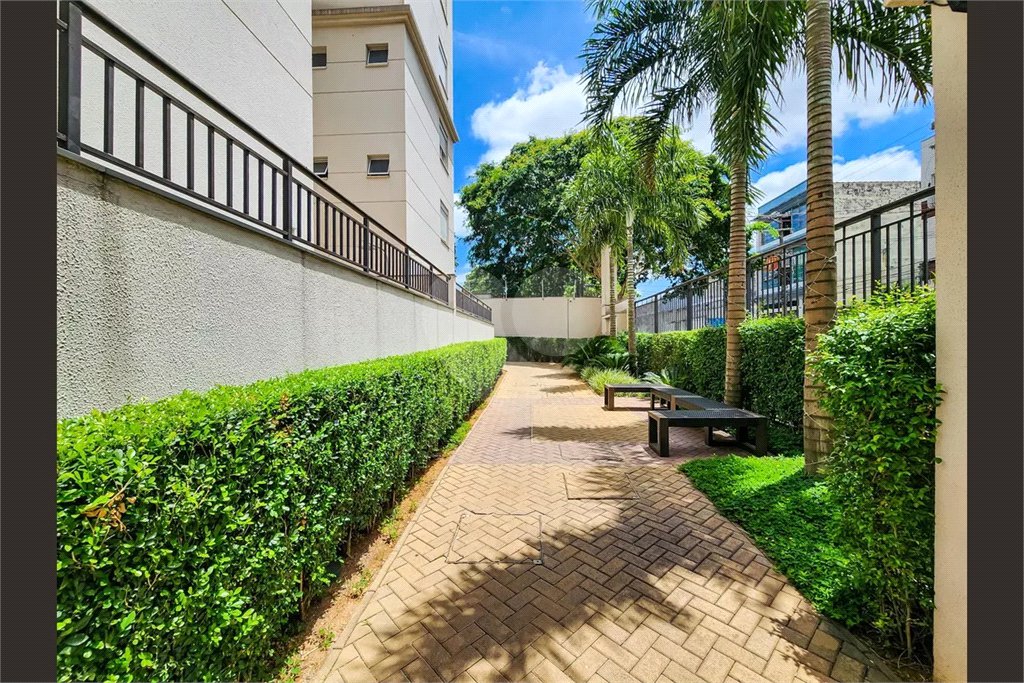 Apartamento à venda com 3 quartos, sendo 1 suíte, em Vila Guilherme, São Paulo, SP