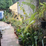 Terreno à venda em Vila Paulicéia, São Paulo, SP