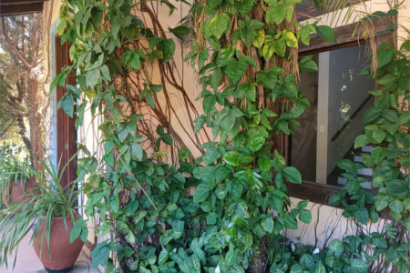 Casa à venda com 4 quartos, sendo 3 suítes, no condomínio Patrimônio do Carmo, São Roque - SP