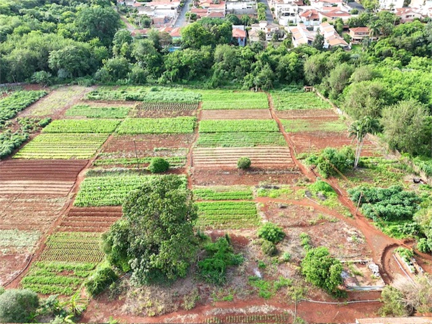 Terreno à venda em Jardim Itaú, Ribeirão Preto, SP