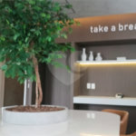 Apartamento à venda ou para alugar com 1 suíte em Vila Mariana, São Paulo, SP