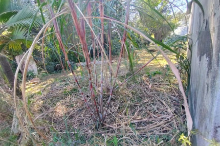 Chácara à venda em Chácara da Alegria, Jundiaí, SP