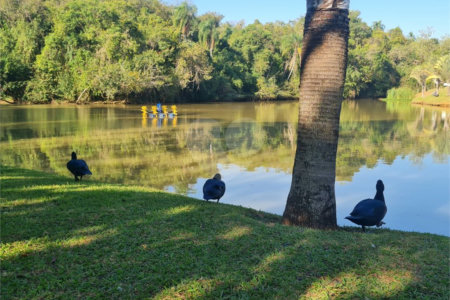 Casa à venda com 3 quartos, sendo 1 suíte,  no condomínio Reserva Ipanema I, Sorocaba - SP