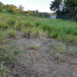 Terreno à venda em Jardim Paraíso do Tanque, Atibaia, SP