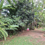 Terreno à venda em Serra da Cantareira, Mairiporã, SP