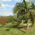 Chácara à venda com 3 quartos, sendo 1 suíte,  em Planalto Verde, São Roque, SP