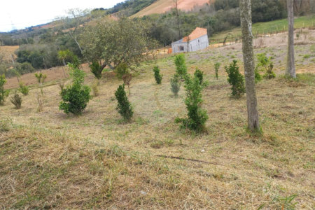 Chácara à venda com 4 quartos, sendo 1 suíte,  em Loteamento Quinta da Mata, Ibiúna, SP