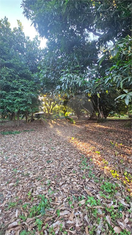 Terreno à venda em Jardim dos Estados, Ponta Porã, MS