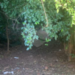 Terreno com 1.000,00 m²