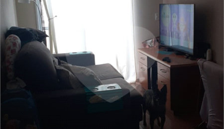 Apartamento à venda com 2 quartos em Jaçanã, São Paulo, SP