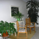 Apartamento à venda com 3 quartos, sendo 1 suíte, em Vila Guilherme, São Paulo, SP