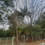 Área de Terra à venda em Jardim do Carmo, Araraquara, SP