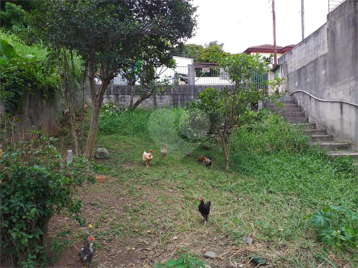 Terreno à venda em Vila Irmãos Arnoni, São Paulo, SP