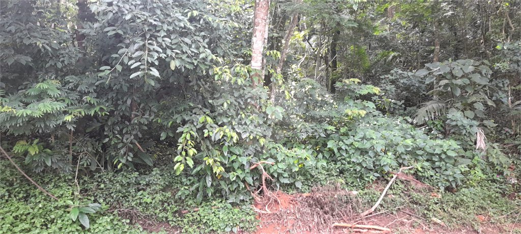 Terreno à venda em Roseira, Mairiporã, SP