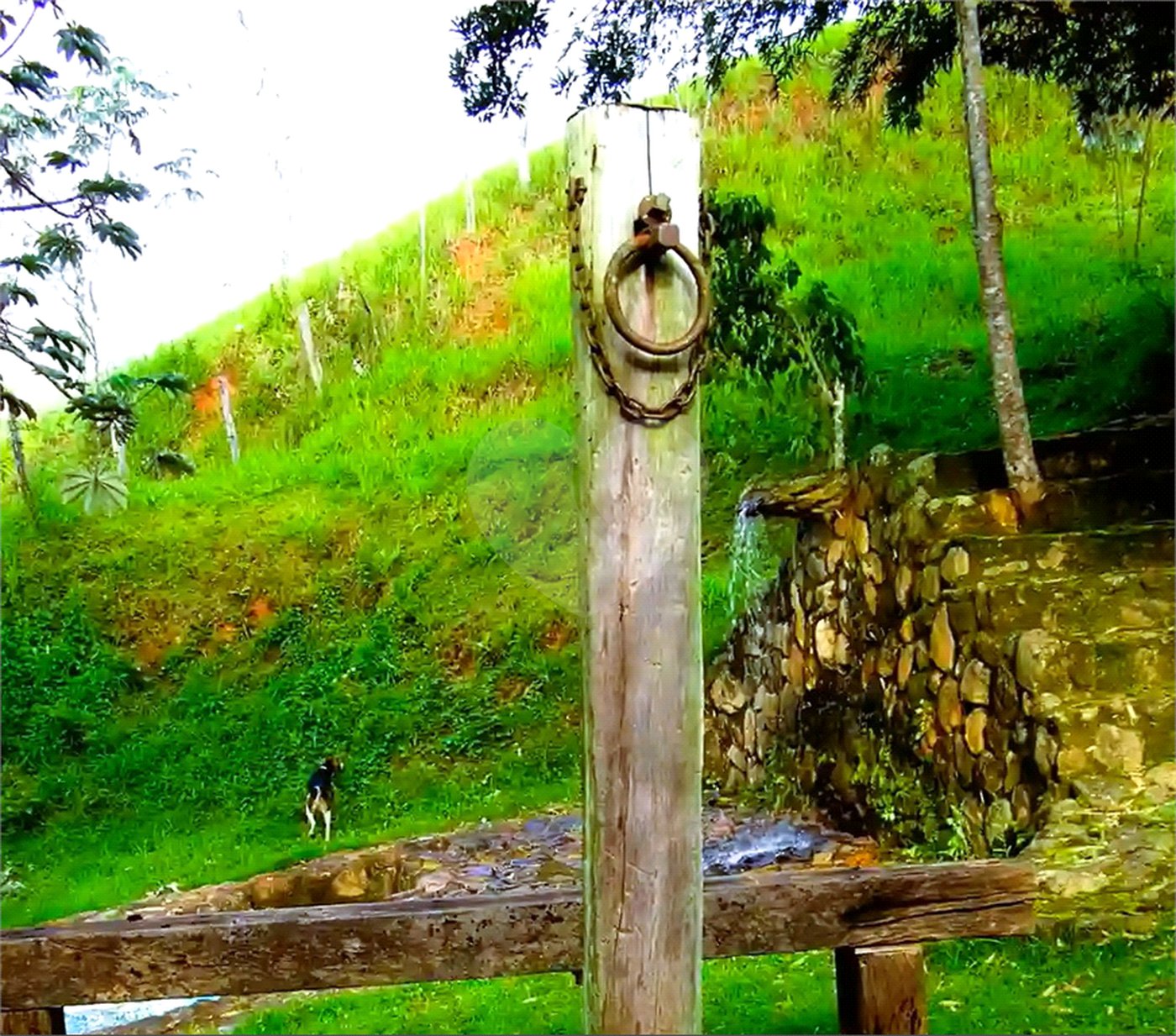 Fazenda à venda em Eugênio de Mello, São José dos Campos, SP
