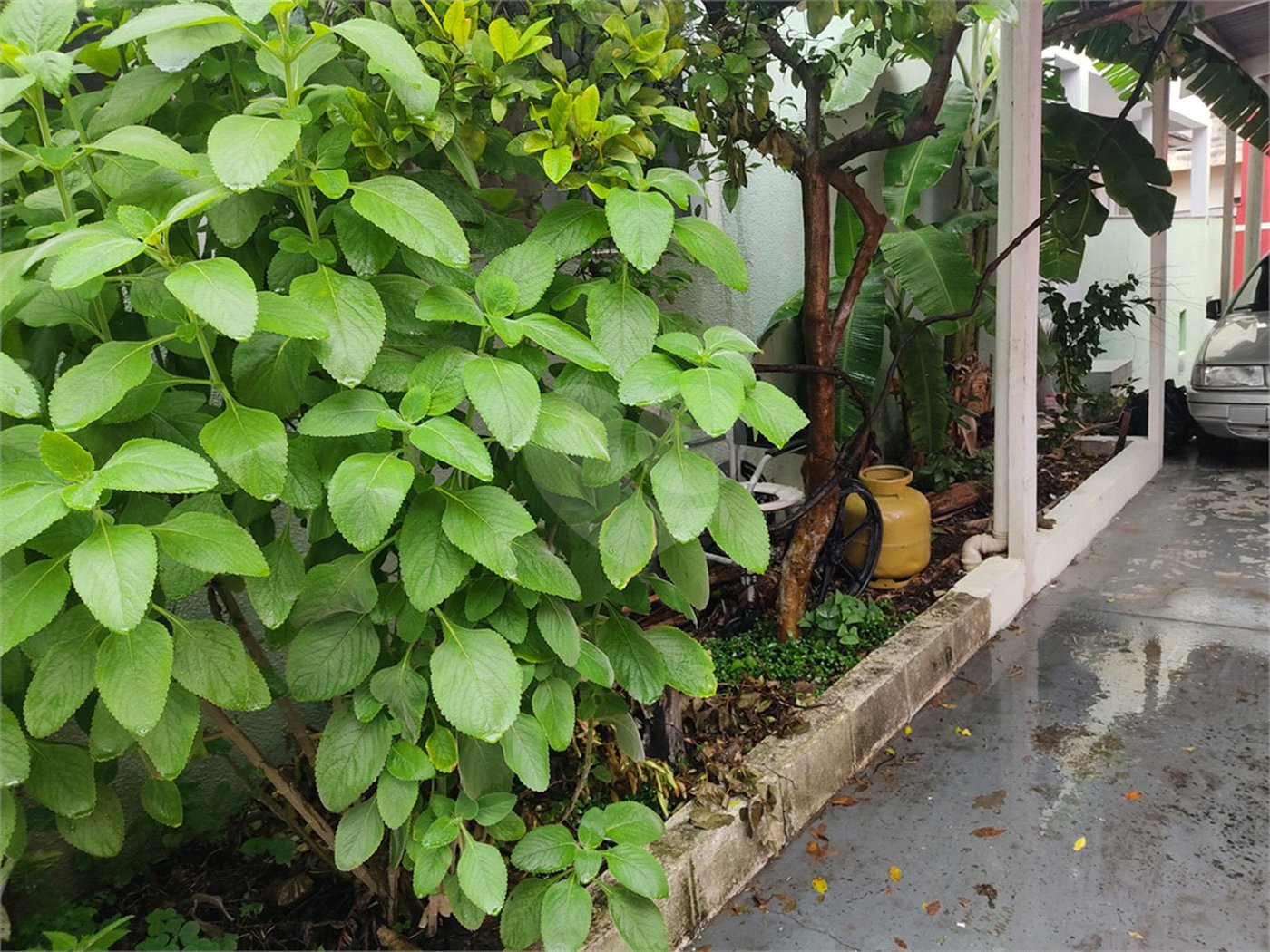 Terreno à venda em Vila Medeiros, São Paulo, SP