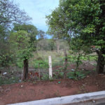 Terreno à venda em Chácara Velosa, Araraquara, SP