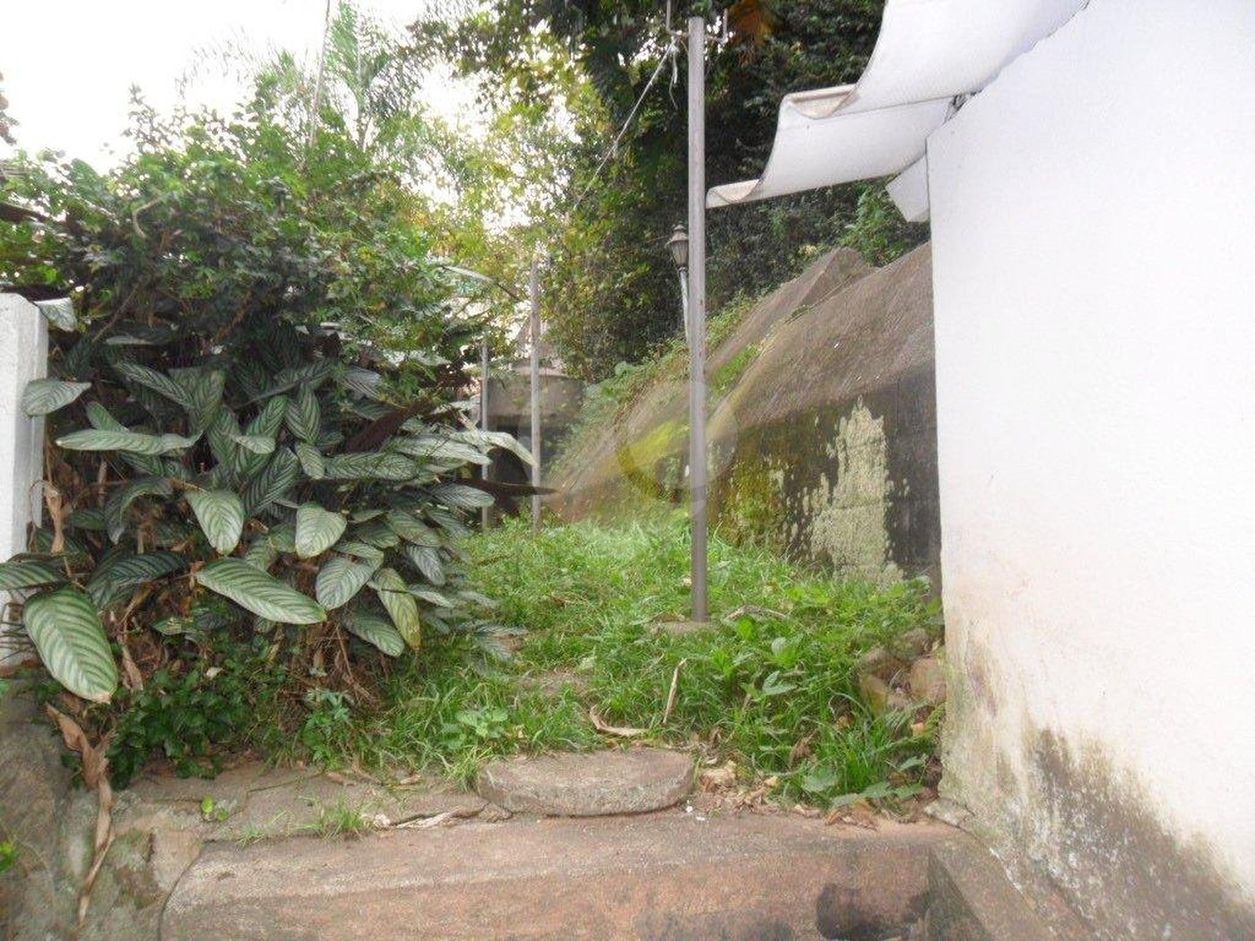 Sobrado à venda com 3 quartos, sendo 1 suíte, em Vila Albertina, São Paulo, SP