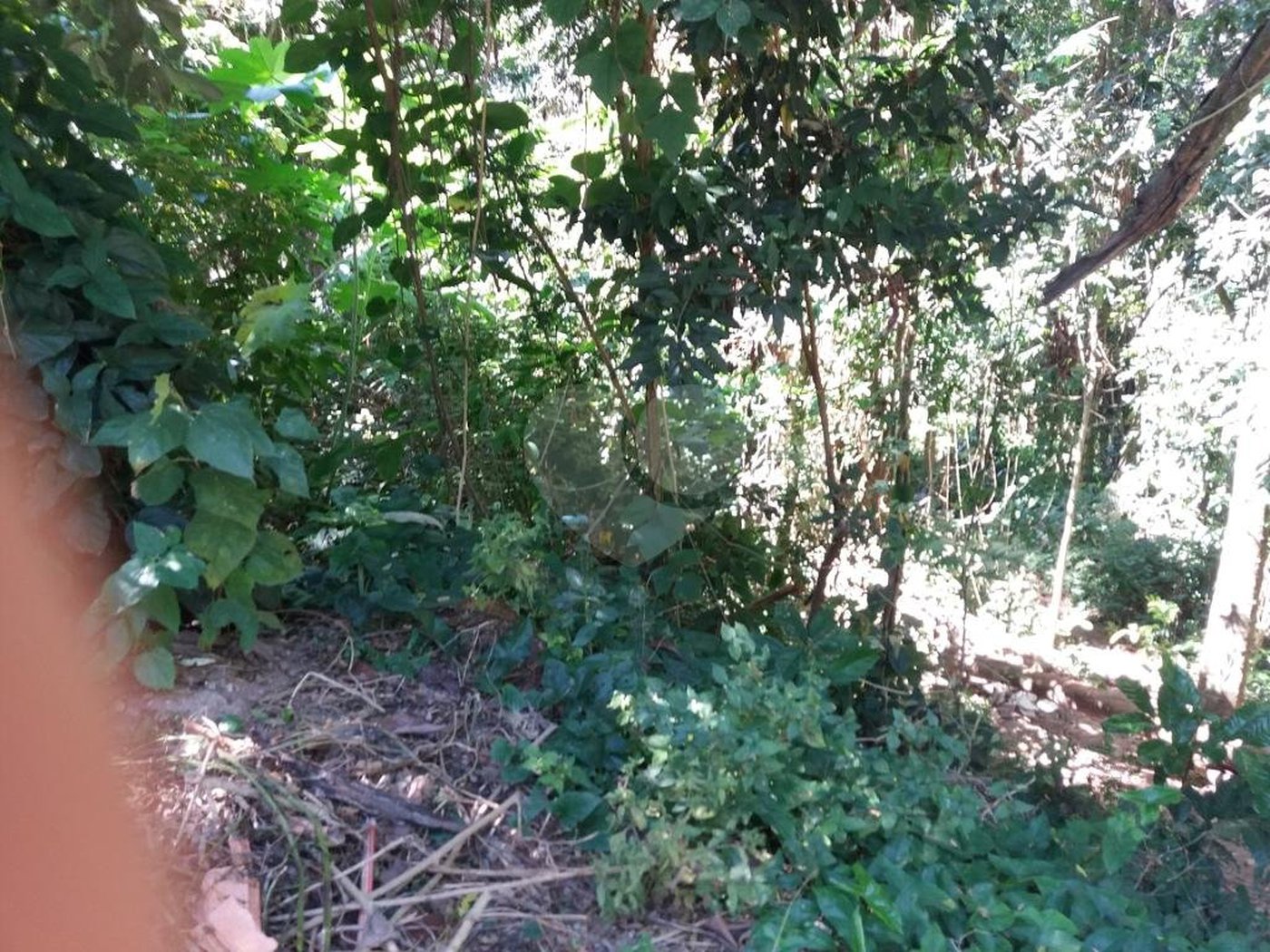 Terreno à venda em Tremembé, São Paulo, SP