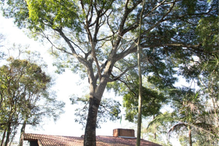 Chácara à venda com 3 quartos, sendo 2 suítes, em Jardim Estância Brasil, Atibaia, SP