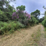 Terreno à venda em Serra da Cantareira, Mairiporã, SP