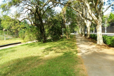 Apartamento para alugar com 4 quartos em Jardim Colombo, São Paulo, SP