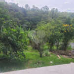 Chácara à venda com 3 quartos em Chácaras Copaco, Arujá, SP