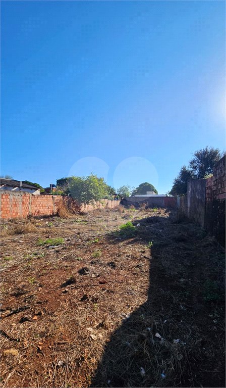 Terreno à venda em Vila Áurea, Ponta Porã, MS