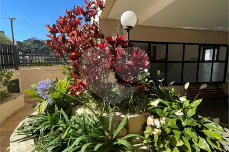 Apartamento à venda com 2 quartos, sendo 1 suíte, em Vila Gustavo, São Paulo, SP