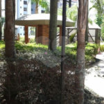 Apartamento à venda com 4 suítes em Vila Andrade, São Paulo, SP