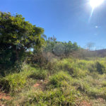 Terreno à venda em Jardim Ivone 1ª Seção, Ponta Porã, MS