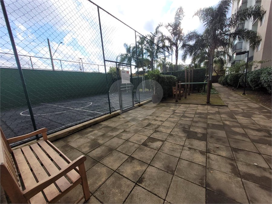 Apartamento à venda ou para alugar com 2 quartos, sendo 1 suíte, em Rio Pequeno, São Paulo, SP