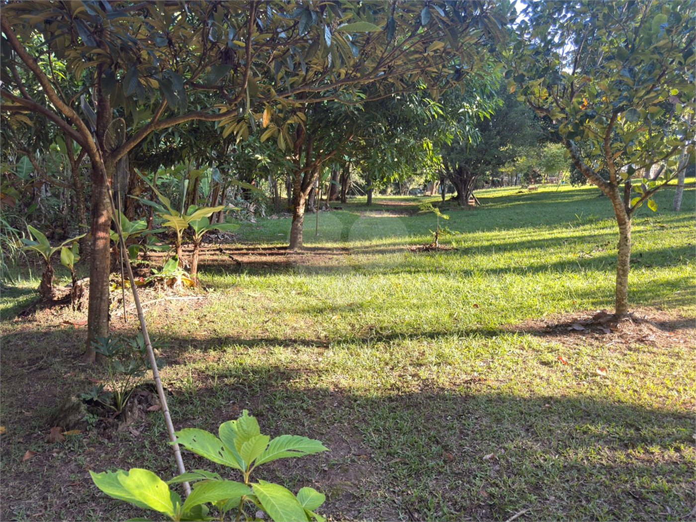 Chácara à venda com 4 quartos, sendo 3 suítes,  em Vila Recreio, Itapetininga, SP