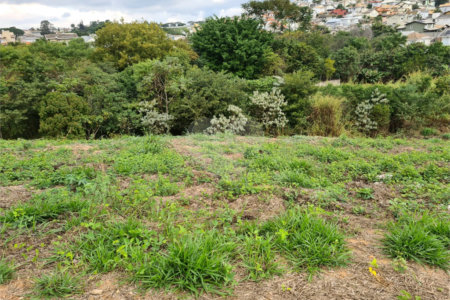 Terreno à venda em Bosque, Vinhedo, SP