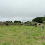 Sítio à venda com 2 quartos em Gramadão, São Miguel Arcanjo, SP