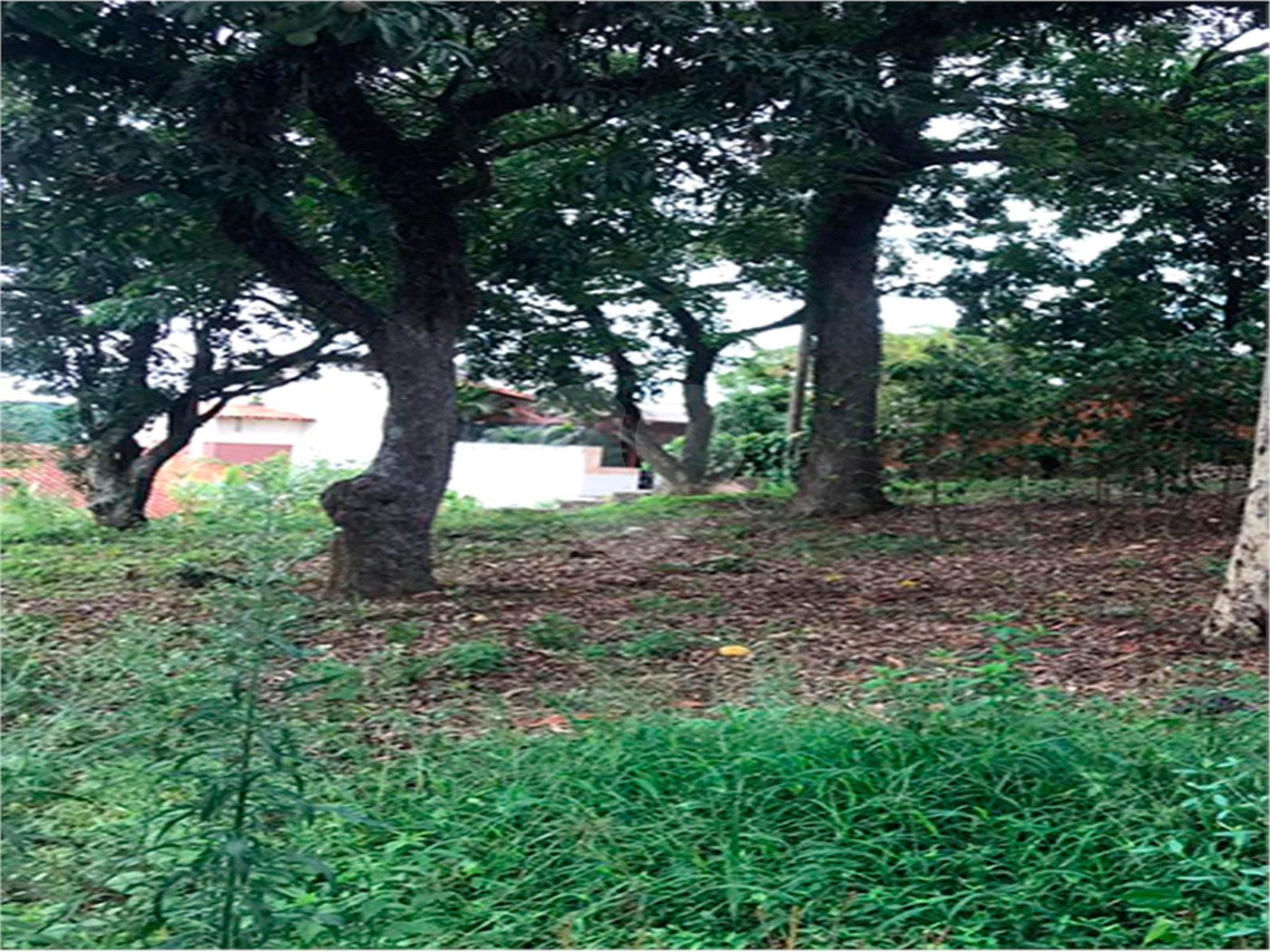 Terreno à venda em Tremembé, São Paulo, SP