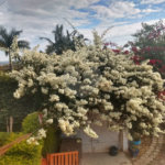 Chácara à venda com 5 quartos, sendo 1 suíte, em Vitória Régia, Atibaia, SP