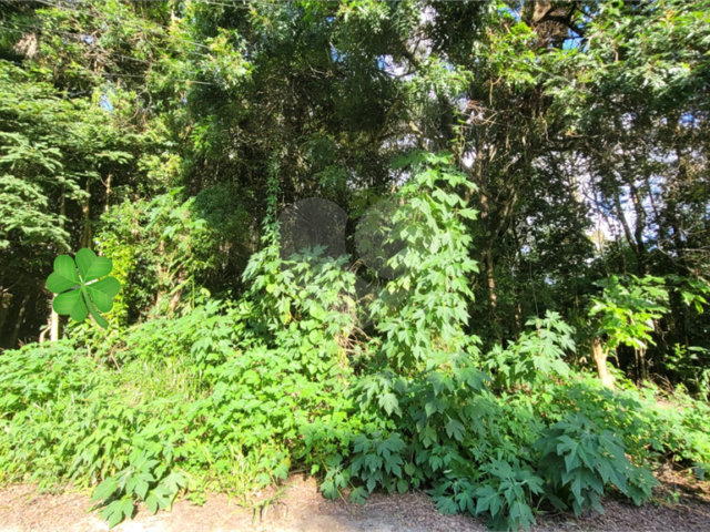 Loteamento à venda em Canjica (terra Preta), Mairiporã, SP