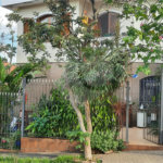 Casa à venda com 4 quartos, sendo 1 suíte,  em Mandaqui, São Paulo, SP