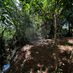 Terreno à venda em Residencial Emilio de Andrade, Ponta Porã, MS