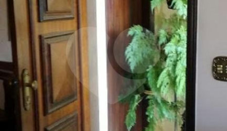 Sobrado à venda com 3 quartos, sendo 1 suíte,  em Mandaqui, São Paulo, SP