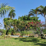 Chácara à venda com 4 quartos, sendo 1 suíte, em Zona Rural, Porangaba, SP