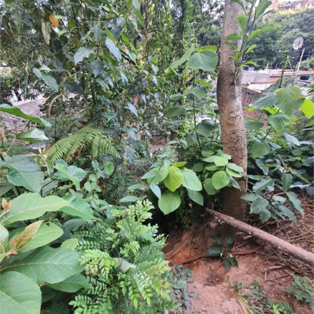 Loteamento à venda em Jardim Amália, São Paulo, SP