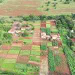 Terreno à venda em Jardim Itaú, Ribeirão Preto, SP