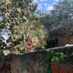 Terreno à venda com 2 quartos em Vila Nivi, São Paulo, SP
