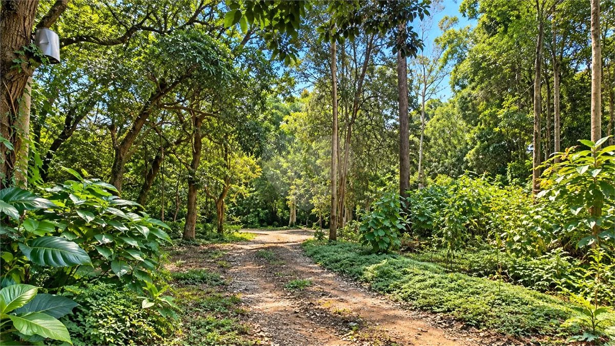 Terreno à venda em Interlagos, São Paulo, SP