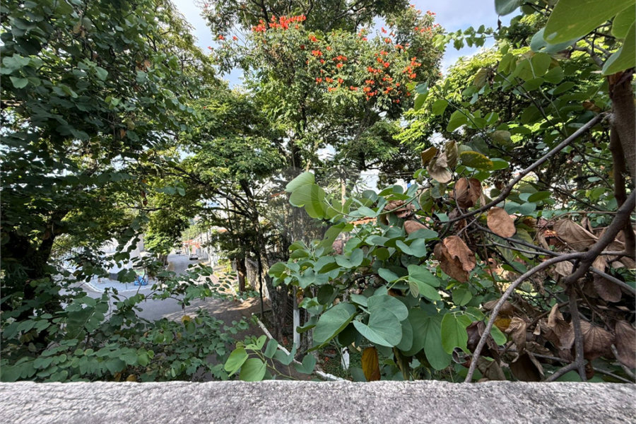 Sobrado à venda com 3 quartos, sendo 1 suíte, em Tucuruvi, São Paulo, SP