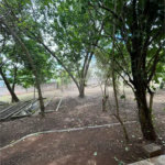 Chácara à venda com 3 quartos, sendo 1 suíte, em Bosque, Vinhedo, SP