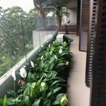 Apartamento à venda com 4 suítes em Vila Suzana, São Paulo, SP