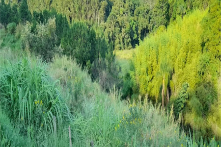 Área de Terra à venda em Três Pistas, Atibaia, SP